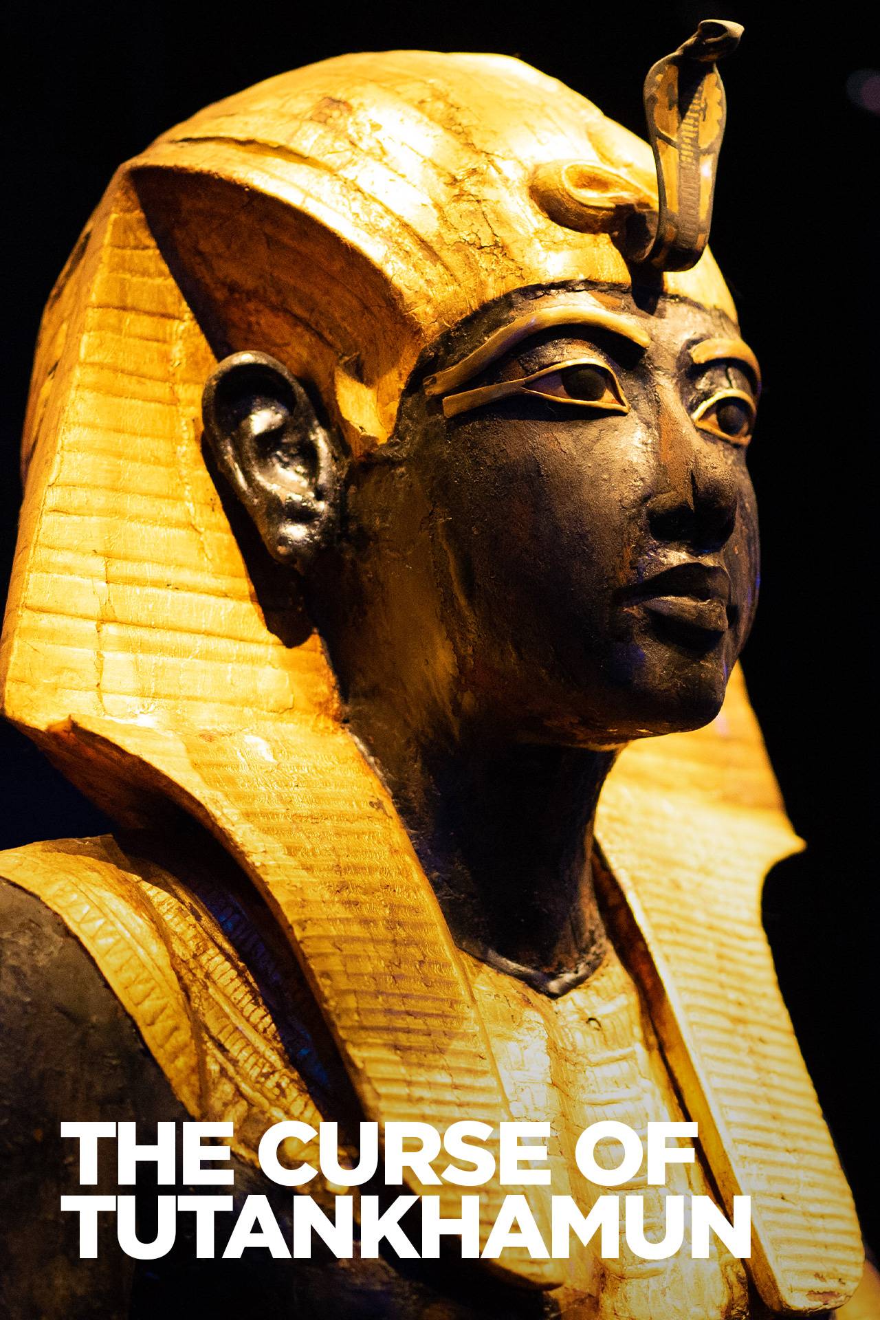 The Curse of Tutankhamun 2022 720p WEB h264-CAFFEiNE
