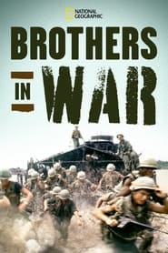 Brothers in War 2014 1080p WEBRip x265-LAMA