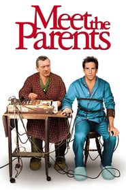 Meet the Parents 2000 BluRay 10Bit 1080p DD5 1 H265-d3g
