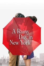 A Rainy Day in New York 2019 1080p BluRay DD5 1 x264-VietHD-