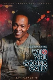 Who You Gonna Call 2020 720p WEB H264-KDOC