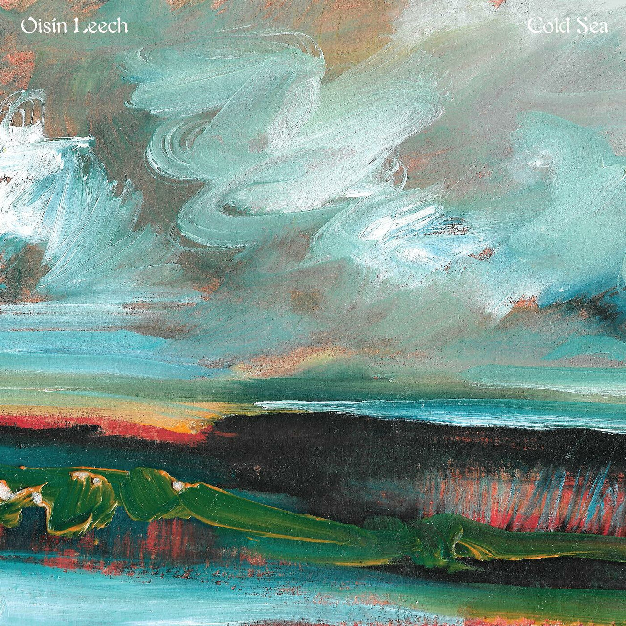 Oisin Leech - 2024 - Cold Sea