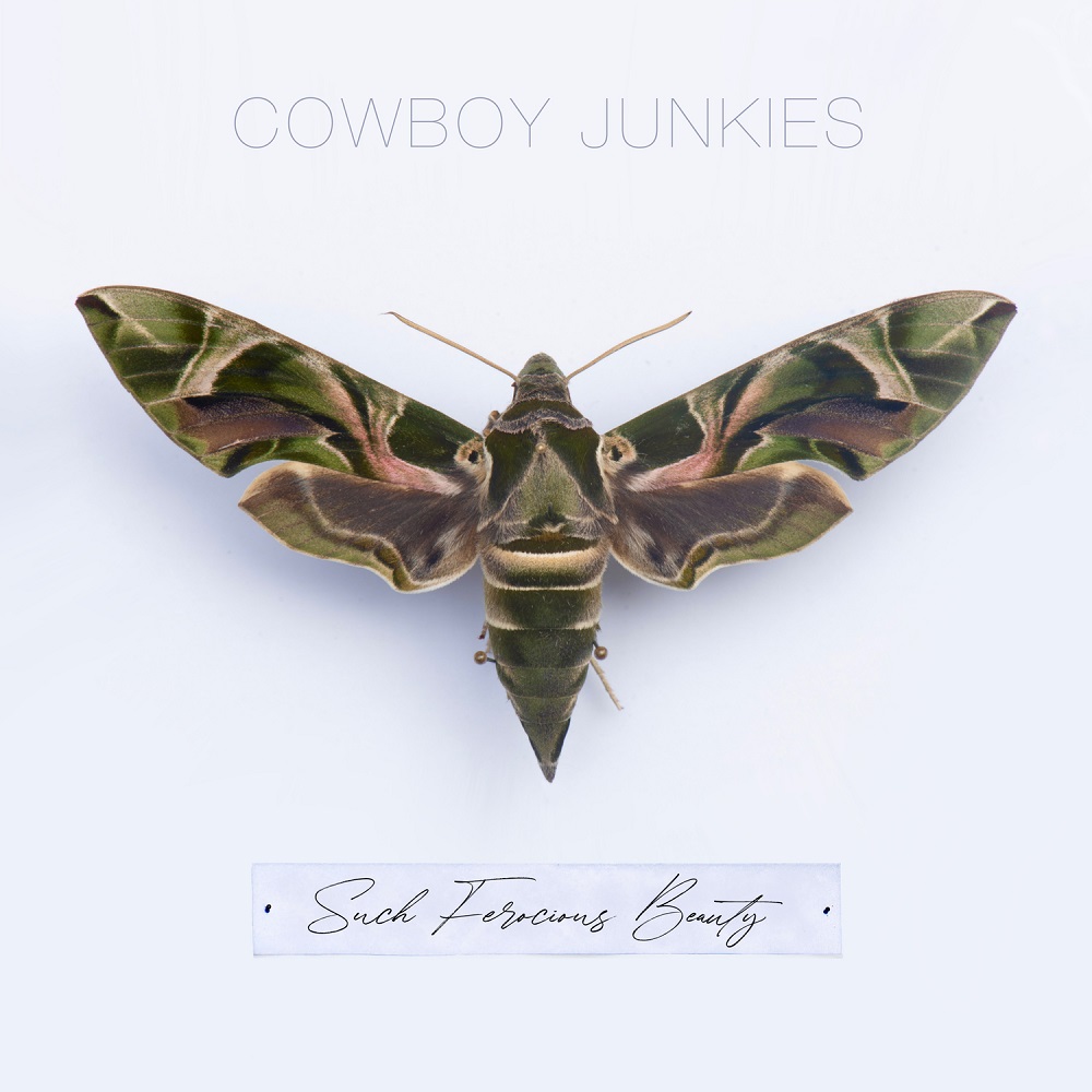 Cowboy Junkies - Such Ferocious Beauty (2023) [24-44.1]