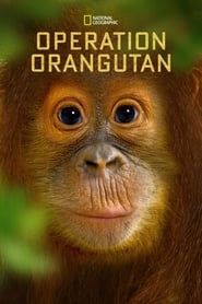 Operation Orangutan 2015 1080p DSNP WEBRip DDP5 1 x264-Leagu