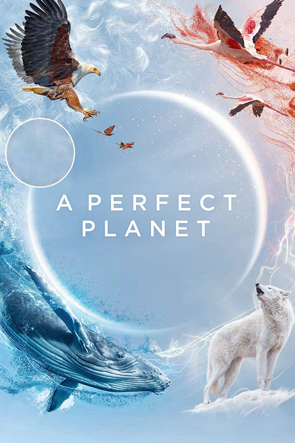 A Perfect Planet 2021 2160p BluRay x265 10bit Atmos TrueHD7 1-WiKi