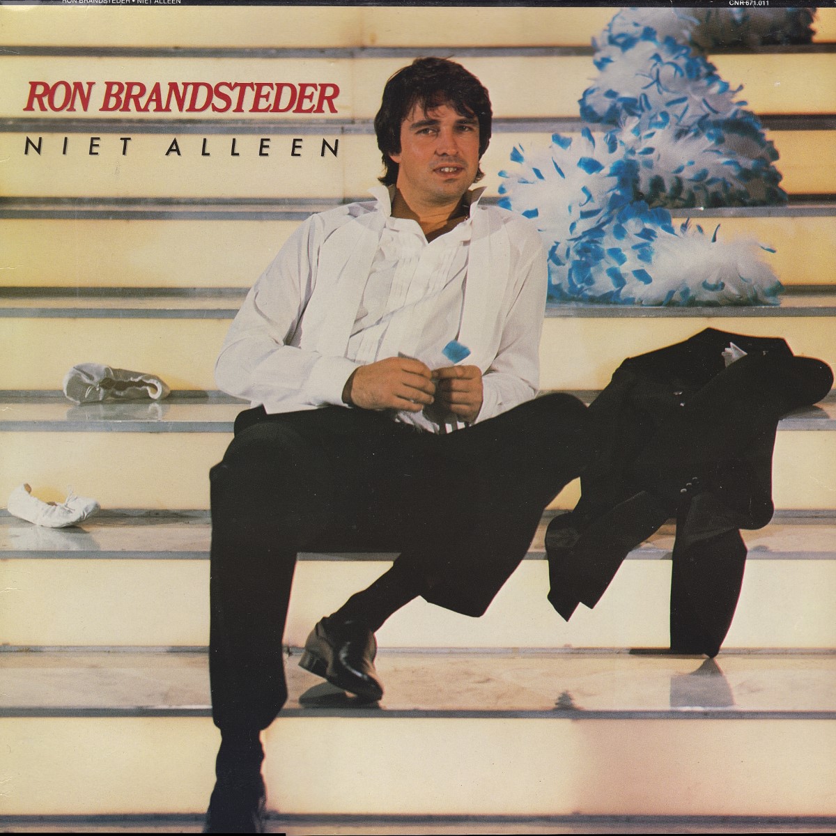 Ron Brandsteder - Niet Alleen (1983)