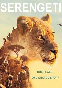 Serengeti S01E03 Invasion 1080p AMZN WEB-DL DDP5 1 H 264-NTb
