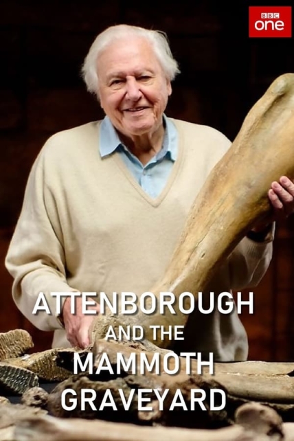 Attenborough and the Mammoth Graveyard (2021) - 1080p iP WEB-DL AAC2 0 H 264 (NLsub)