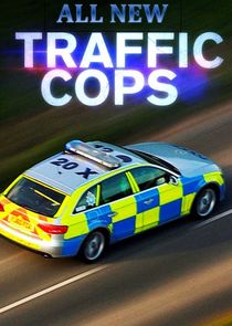 All New Traffic Cops S12E03 HDTV x264-XEN0N