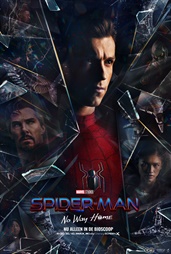 Spider-Man No Way Home 2022 Blu-ray 1080p REMUX AVC DTS-HD MA 5 1 NL