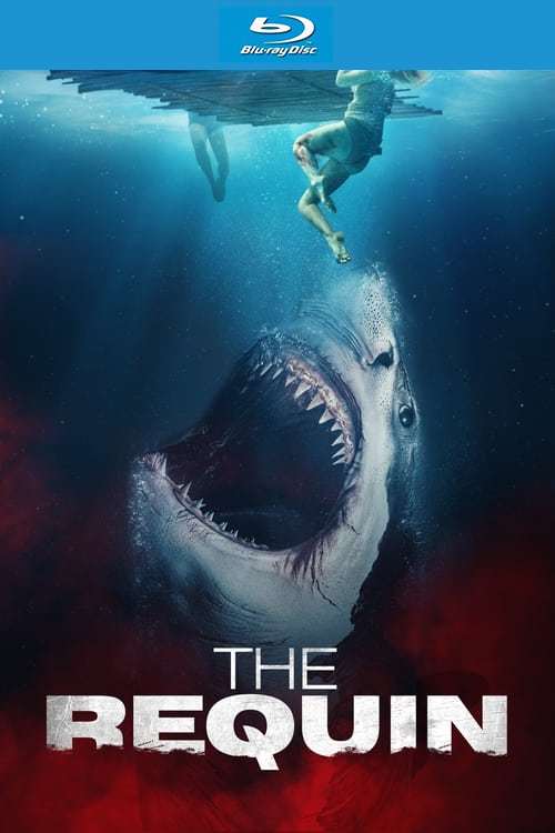 The Requin (+NLsubs)(2022)(BD25)