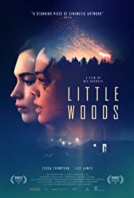 Little Woods 2018 1080p WEB h264-iNTENSO