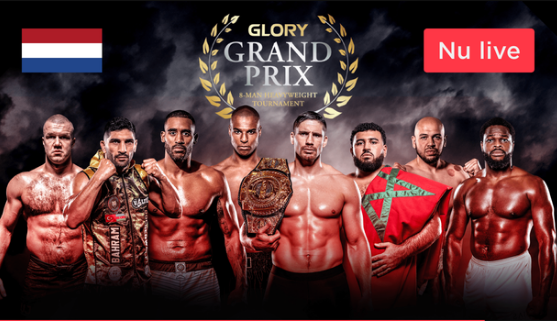 Glory Grand Prix 8 Man Heavyweight Tournament 540p WEB-DL AAC2 0 H264-VLS