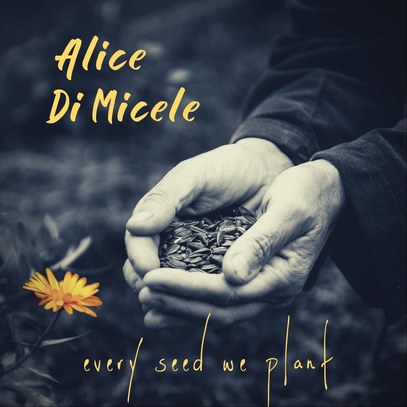 Alice Di Micele – 2022 - Every Seed We Plant