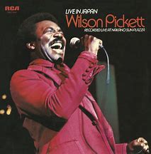 Wilson Pickett - 11 Albums NZBonly
