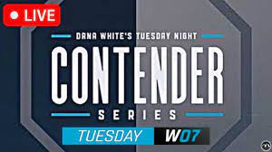 UFC Tuesday Night Contender Series S07W07 1080p WEB-DL H264 Fight-BB