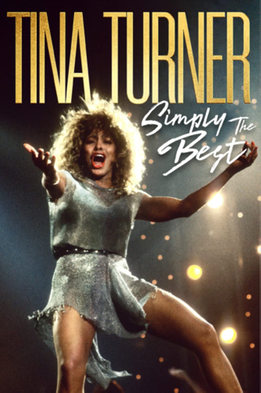 Tina Turner Simply The Best 2021 DUTCH 1080p WEB x264-DDF