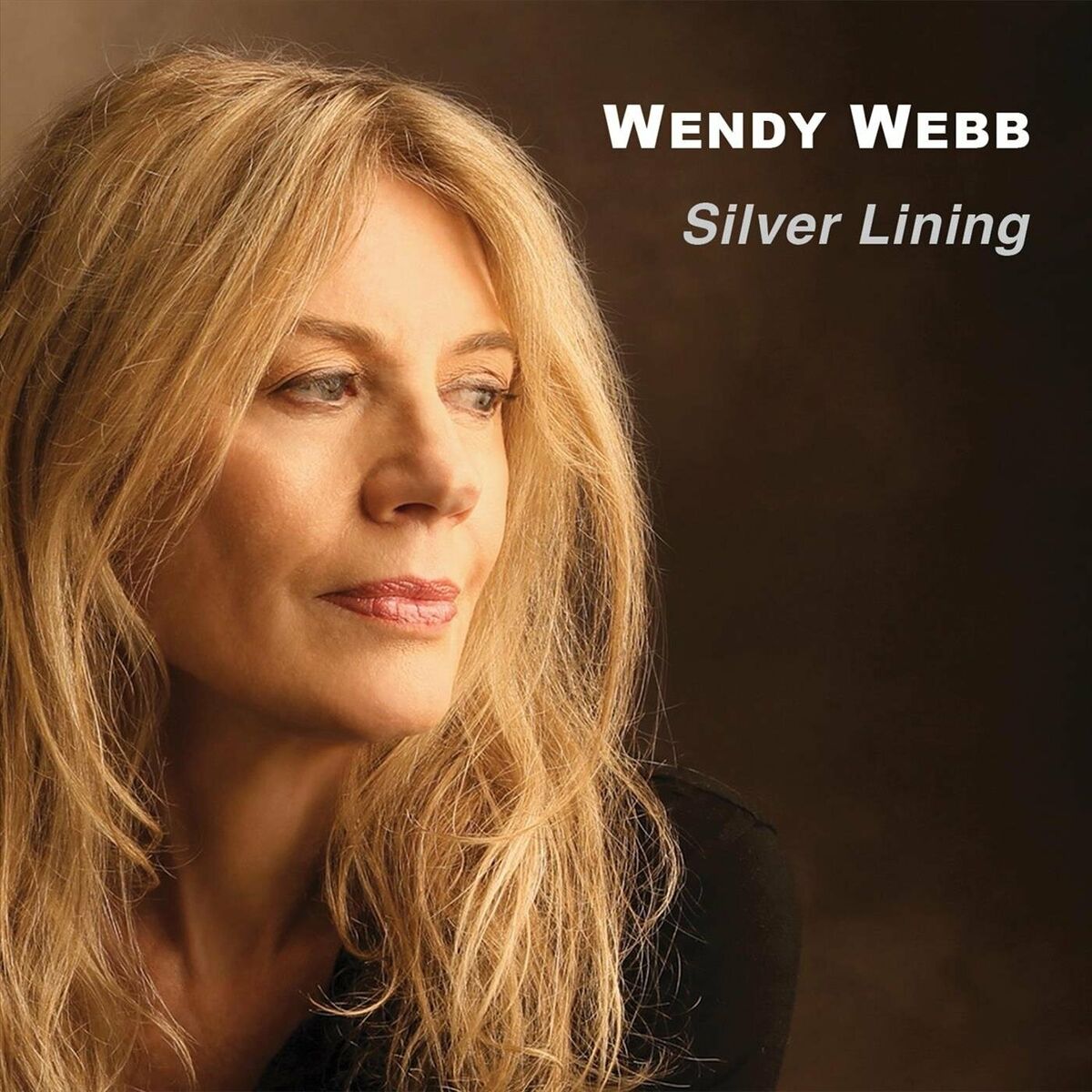 Wendy Webb - 2023 - Silver Lining