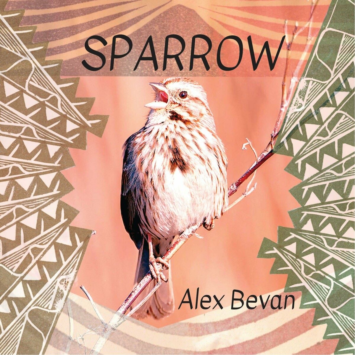 Alex Bevan -2023 - Sparrow