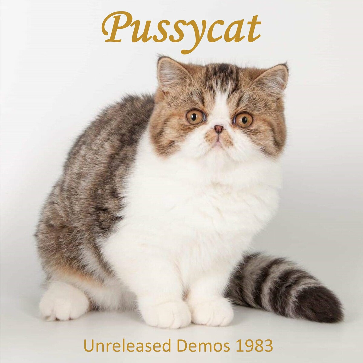 Pussycat - Unreleased Demos 1983