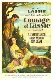 Courage Of Lassie 1946 1080p HDTV AC3 DD2 0 H264-TMSF