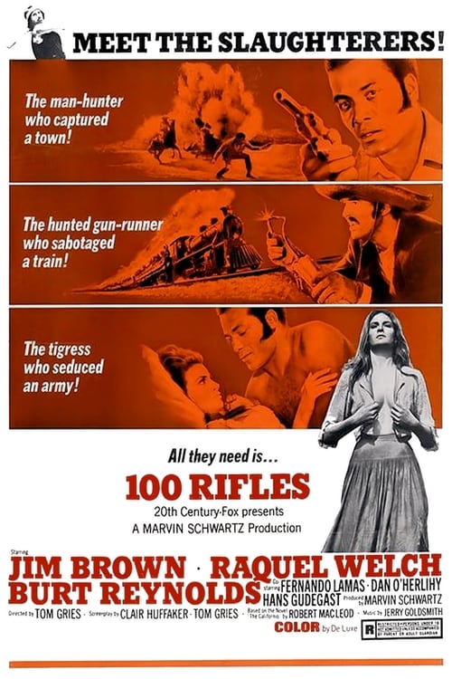 100 Rifles 1969 720p BluRay x264-x0r