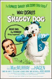 The Shaggy Dog 1959 1080p BluRay EAC3 DDP2 0 H264 UK NL Sub