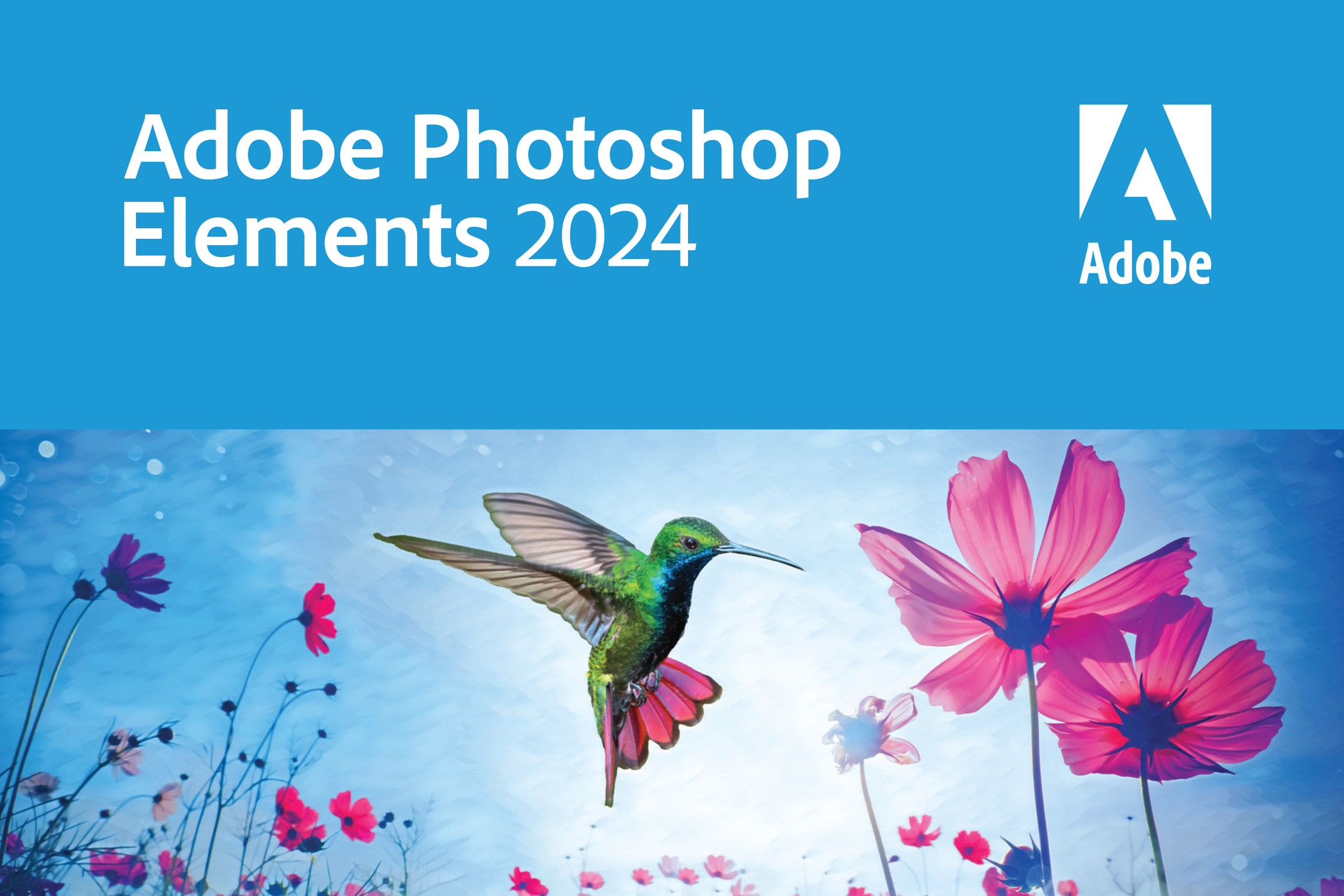 Verzoek Adobe Photoshop Elements 2024 v24.0 (x64) Multilingual