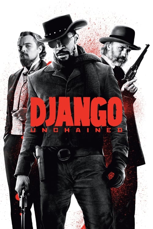 Django Unchained 2012 720p BluRay DTS x264-CtrlHD