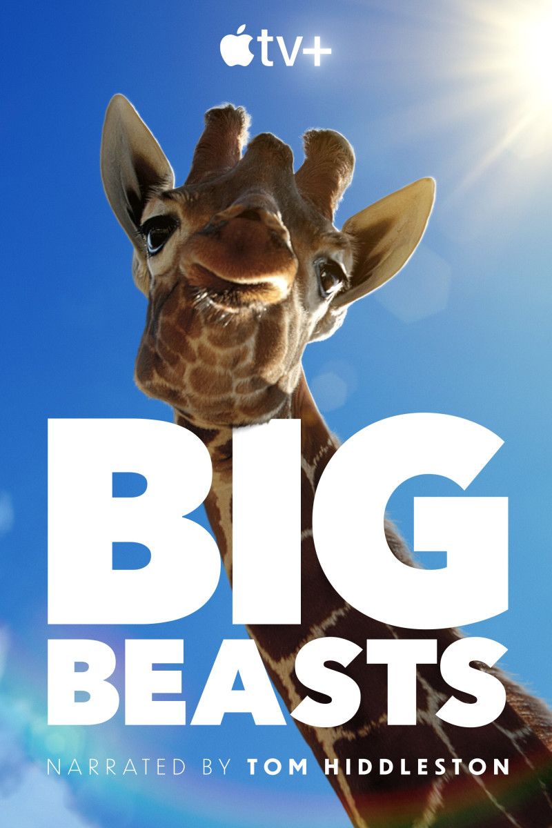 Big Beasts (2023) Seizoen 01 - 1080p WEB-DL DDP5 1 Atmos H 264 (Retail NLsub)