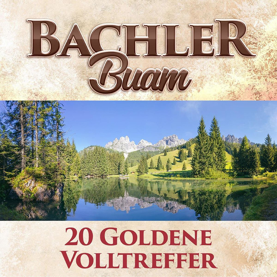 Bachler Buam - 2 Albums [FLAC]