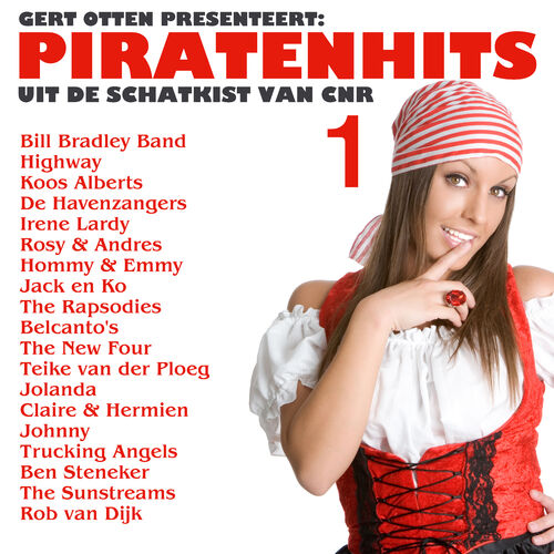 Piratenhits 1