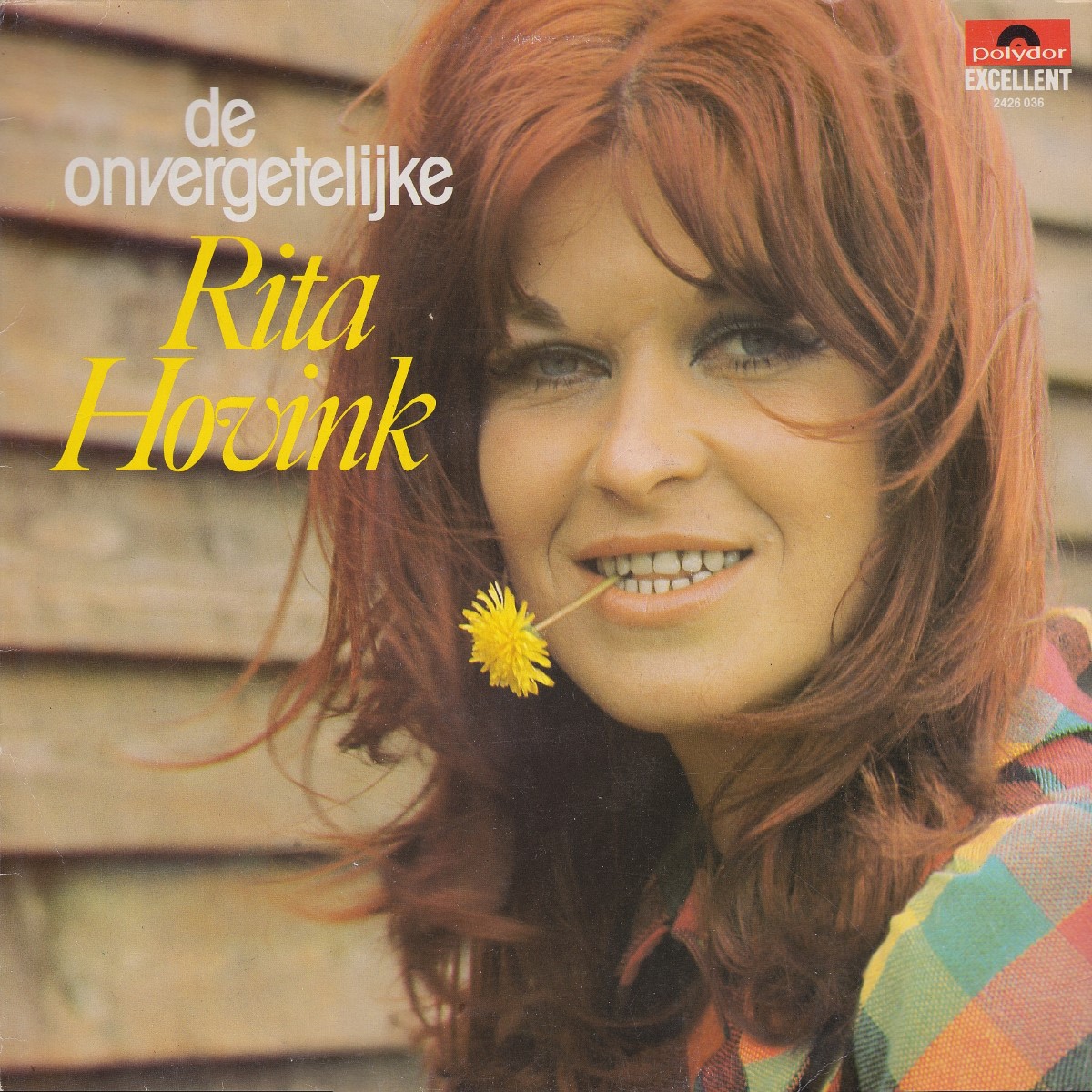 Rita Hovink - De Onvergetelijke Rita Hovink (1982)