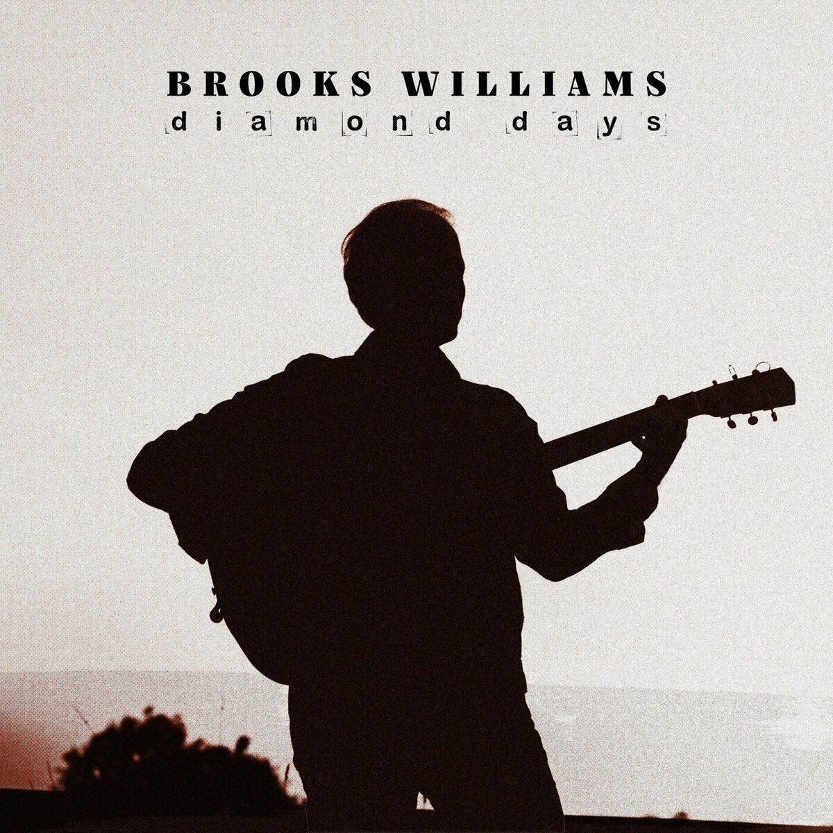 Brooks Williams - 2024 - Diamond Days