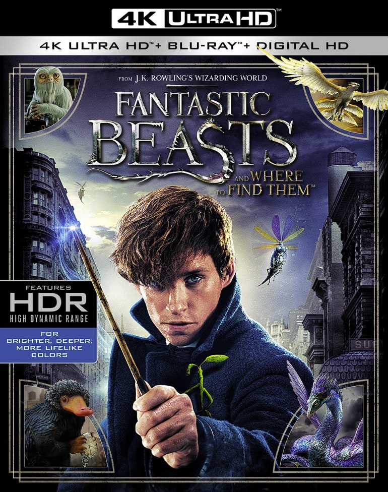 Fantastic Beasts and Where to Find Them (2016) UHD MKVRemux 2160p HDR Atmos NL