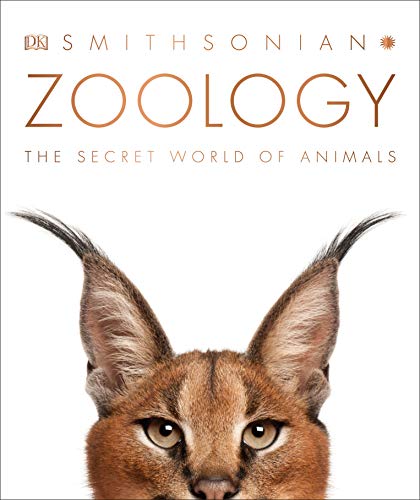DK Publishing - Zoology- The Secret World Of Animals