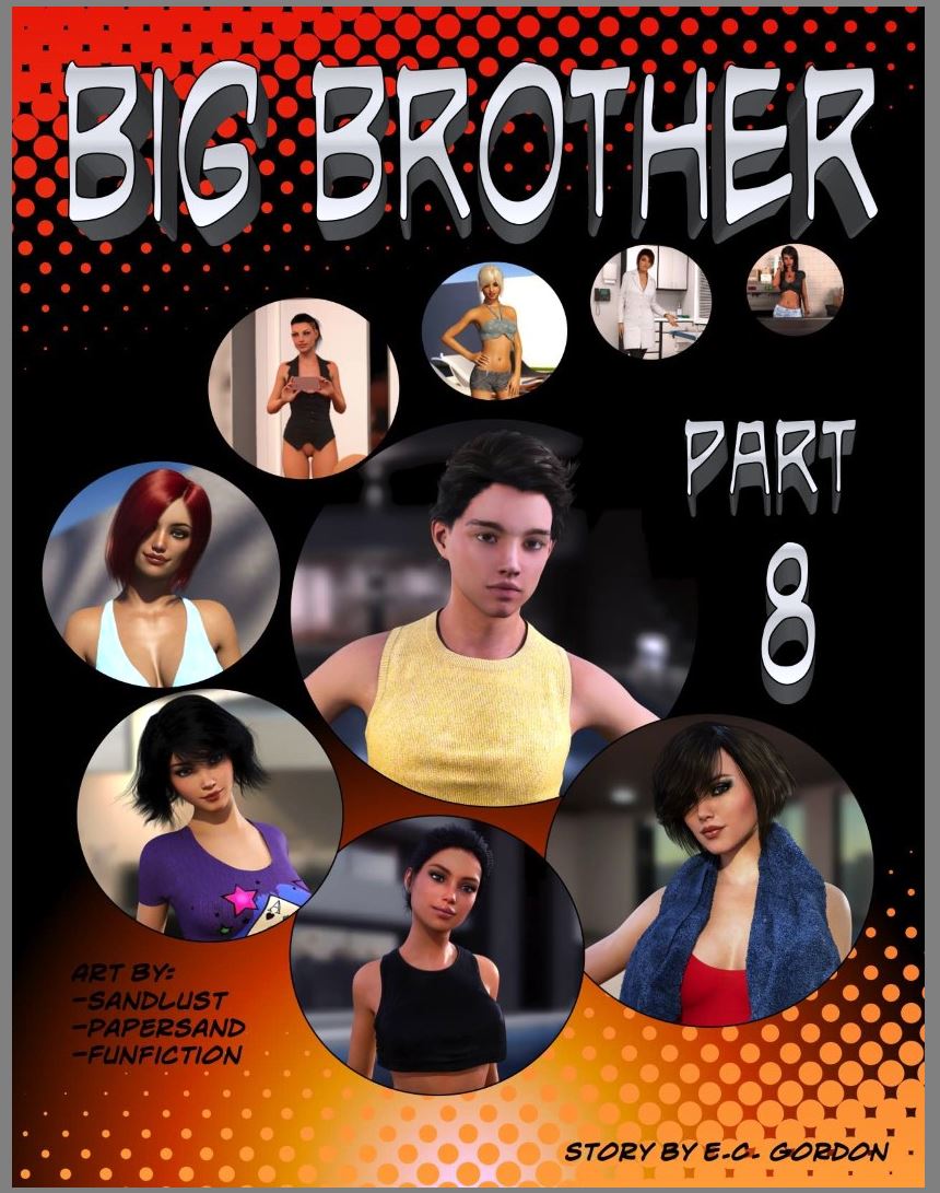 [Stripboek] Big Brother deel 8