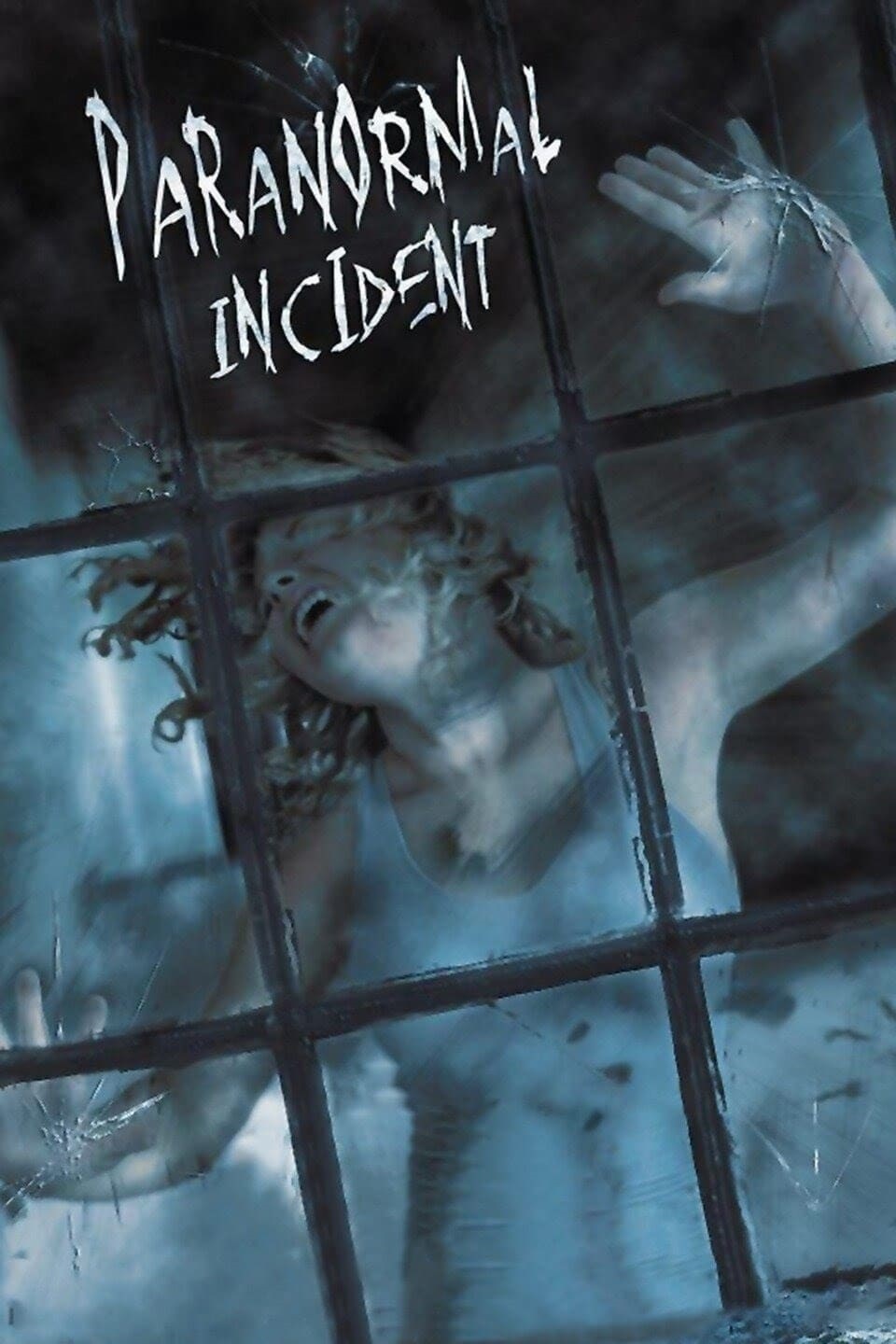 Paranormal Incident (2011) DL.1080p.BluRay.x264