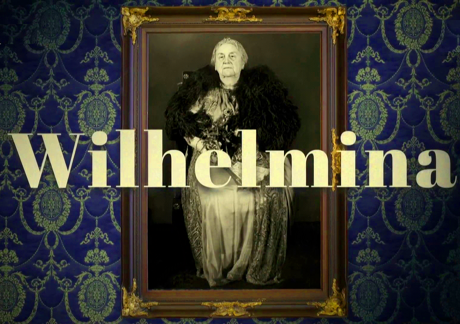 Wilhelmina S01 DUTCH 1080p WEB x264-DDF