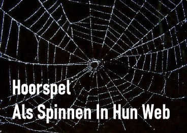 Hoorspel Als Spinnen In Hun Web