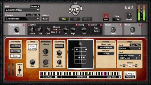 Applied Acoustics Systems STRUM GS-2 v2.4.4 WIN