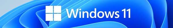 Windows 11 pro 22H2