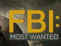 FBI Most Wanted S04E22 Heaven Falling met NL Subs