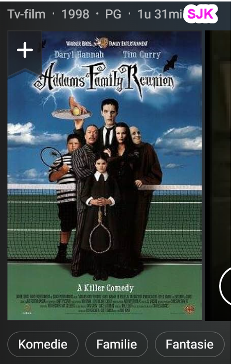 Addams Family Reunion 1998 1280-720p WEBdl AVC NLSubs-S-J-K nzb