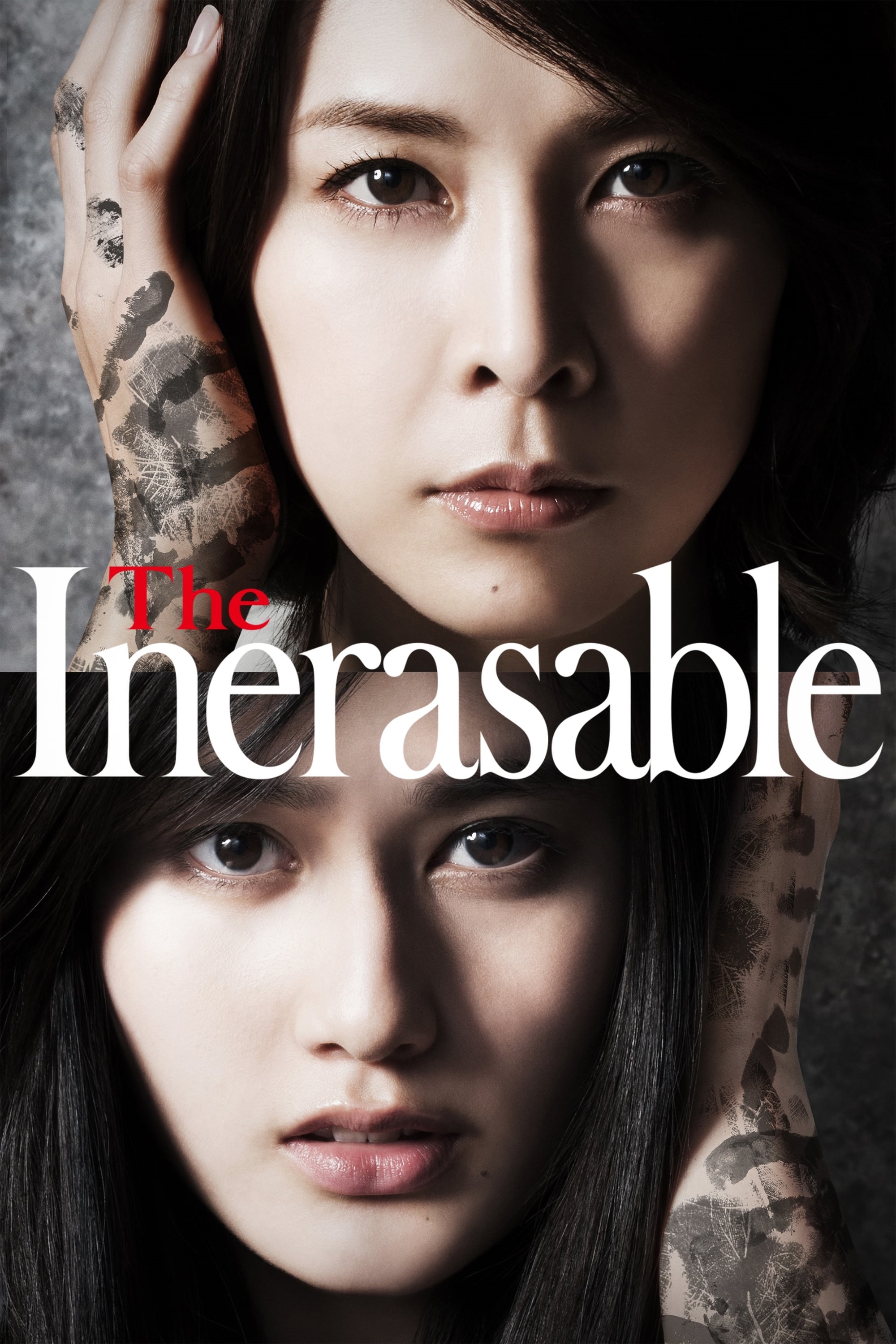 The Inerasable 2015 JAPANESE 1080p BluRay x264 DTS-iKiW