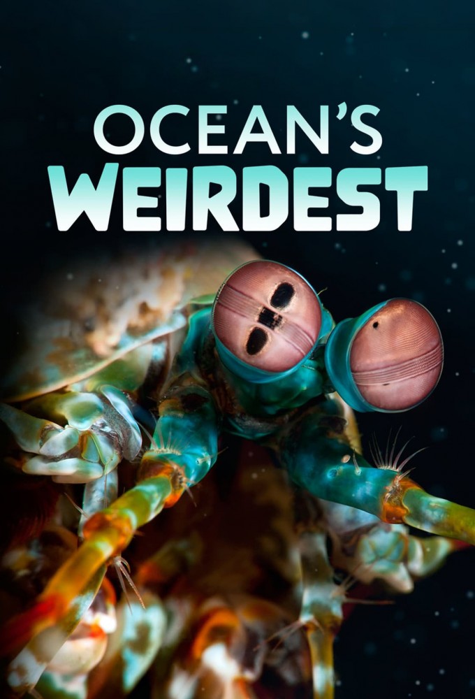 Ocean's Weirdest (2022) Seizoen 01 - 1080p WEB-DL DD+5 1 H 264 (NLsub)