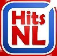 VA - Nederlandse Hits Januari Deel 1+2 (2022)